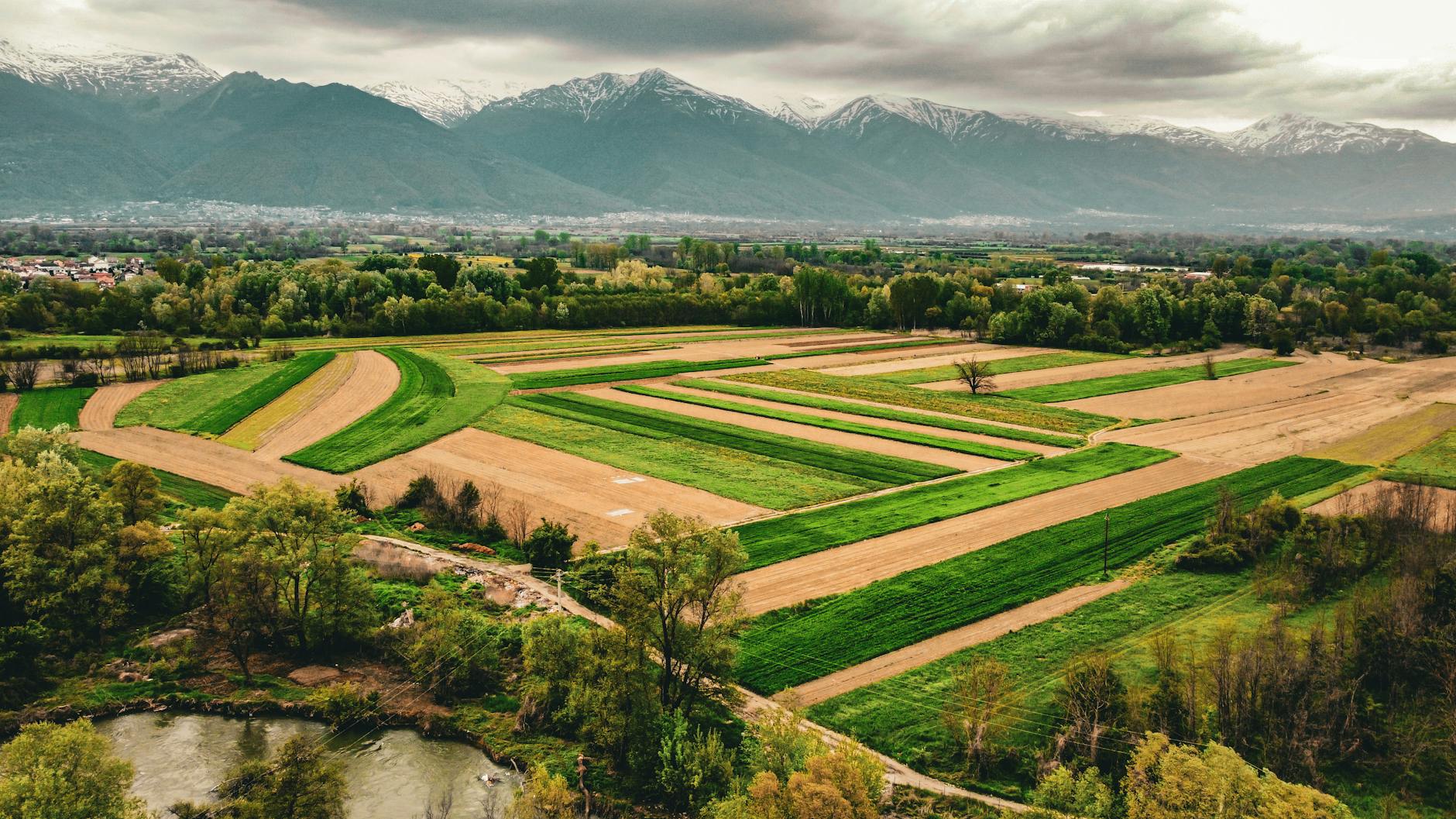 Valenzano, via ad AgriBari: impianto agrivoltaico UniBa-Statkraft