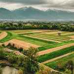 Valenzano, via ad AgriBari: impianto agrivoltaico UniBa-Statkraft