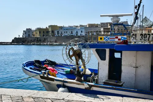 Foggia, sportello Camera di Commercio per la filiera ittica