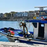 Foggia, sportello Camera di Commercio per la filiera ittica