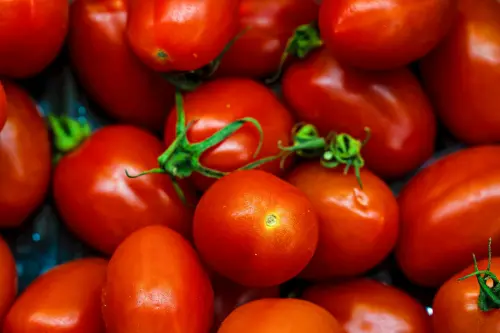 Pomodoro da industria, Confagricoltura Puglia: “Serve subito un accordo di filiera”