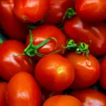 Pomodoro da industria, Confagricoltura Puglia: “Serve subito un accordo di filiera”