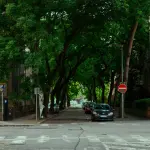 Foggia, progetto da 688mila euro per il verde urbano di Viale della Repubblica