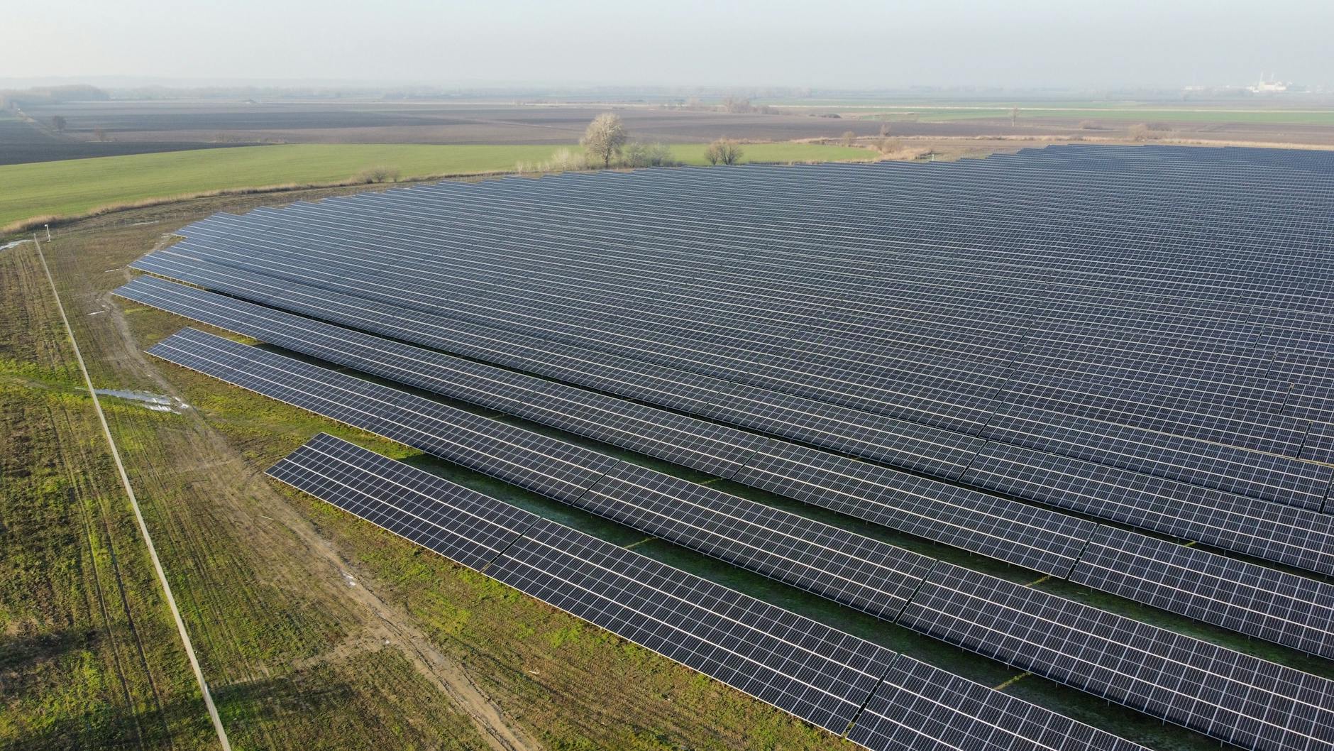 Foggia, avviata la verifica VIA per l’agrivoltaico Foggia 8