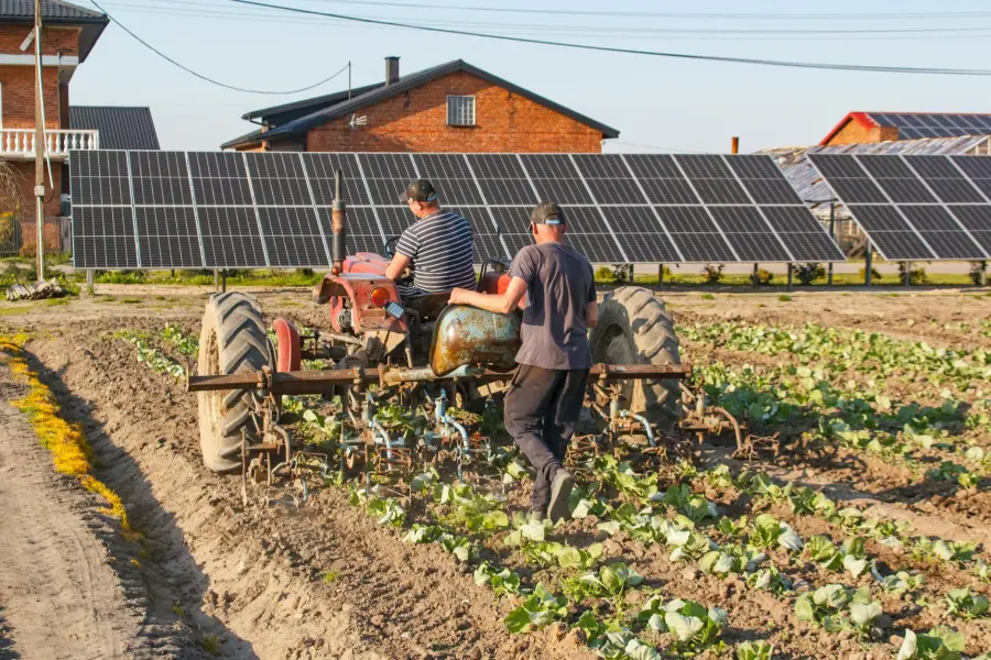 Foggia, istanza VIA per impianto agrovoltaico da 110 MW