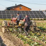 Foggia, istanza VIA per impianto agrovoltaico da 110 MW