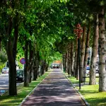 Foggia, approvato il progetto per riqualificare via Borrelli