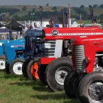 Bari, presentazione di Enoliexpo 2026: la fiera dedicata alle tecnologie per olio e vino