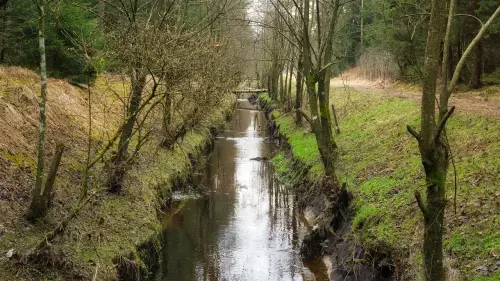 San Giovanni Rotondo, avviata nuova consultazione pubblica per il progetto di difesa idraulica