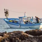 Vinitaly 2026, le Regioni fanno fronte comune: sostegno urgente a pesca e acquacoltura
